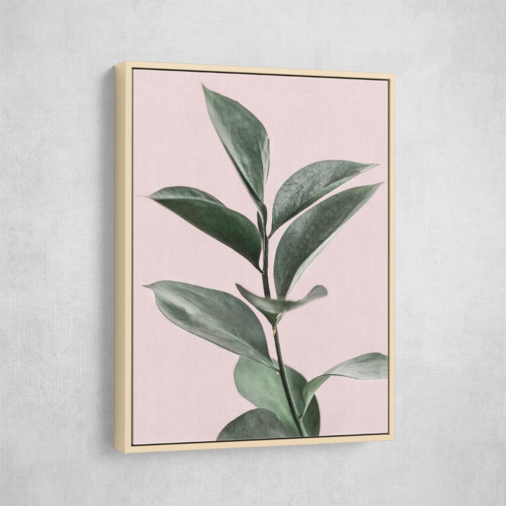 Foliage on Pink