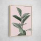 Foliage on Pink Foliage on Pink