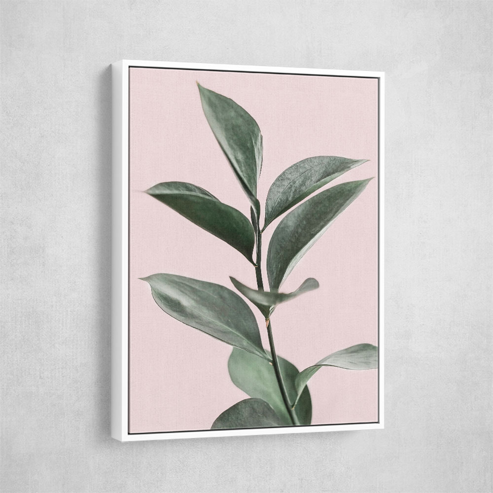 Foliage on Pink