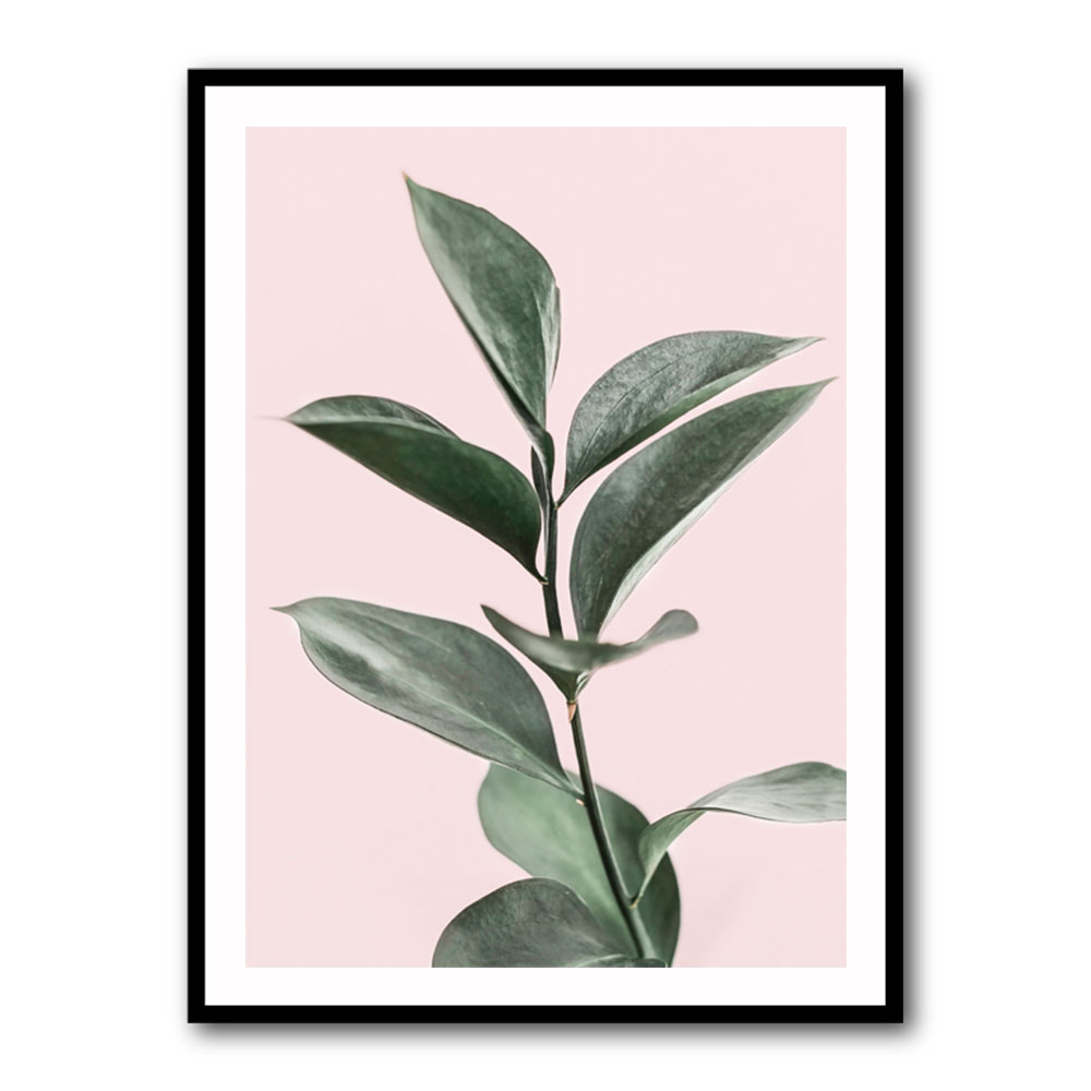 Foliage on Pink