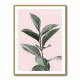 Foliage on Pink