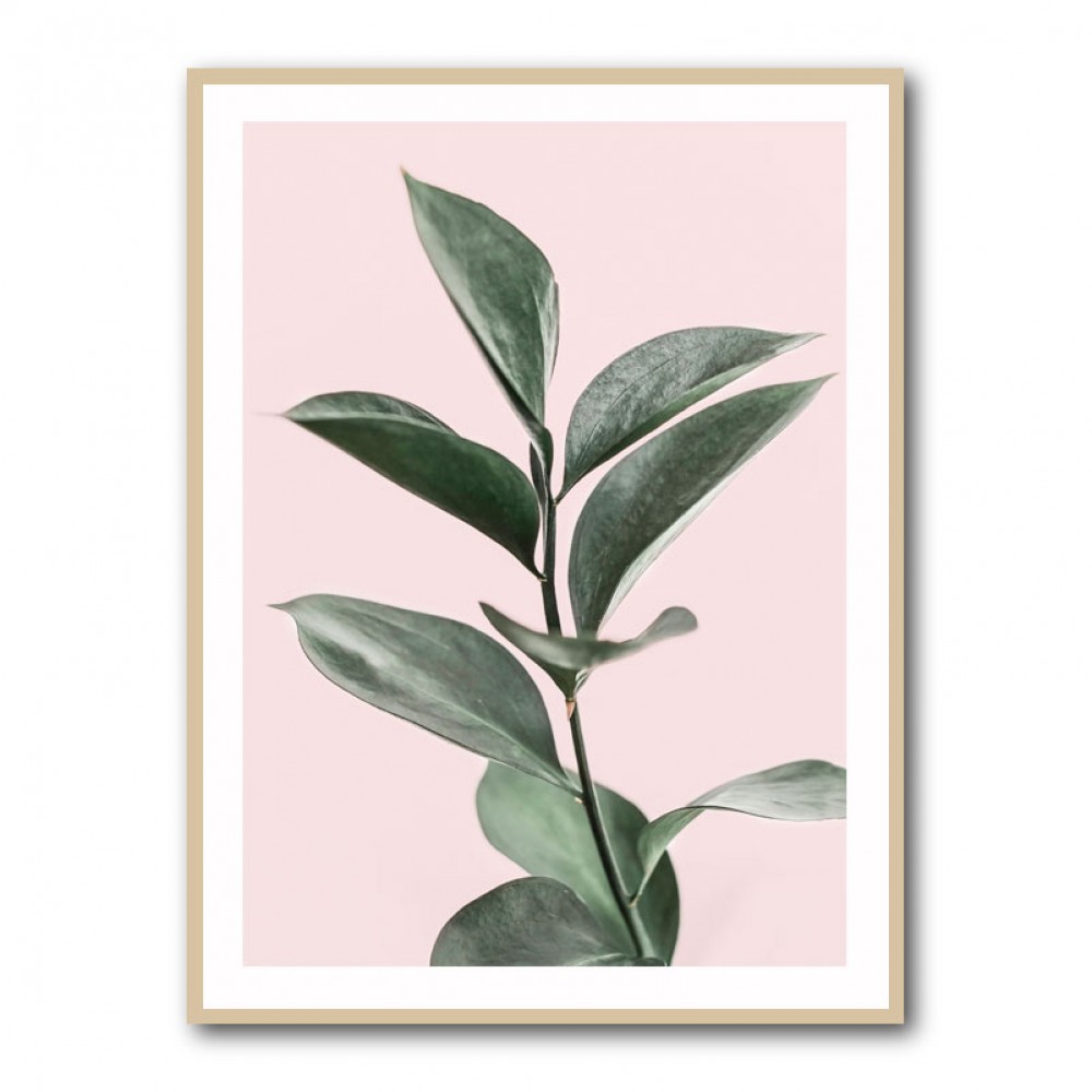 Foliage on Pink Foliage on Pink