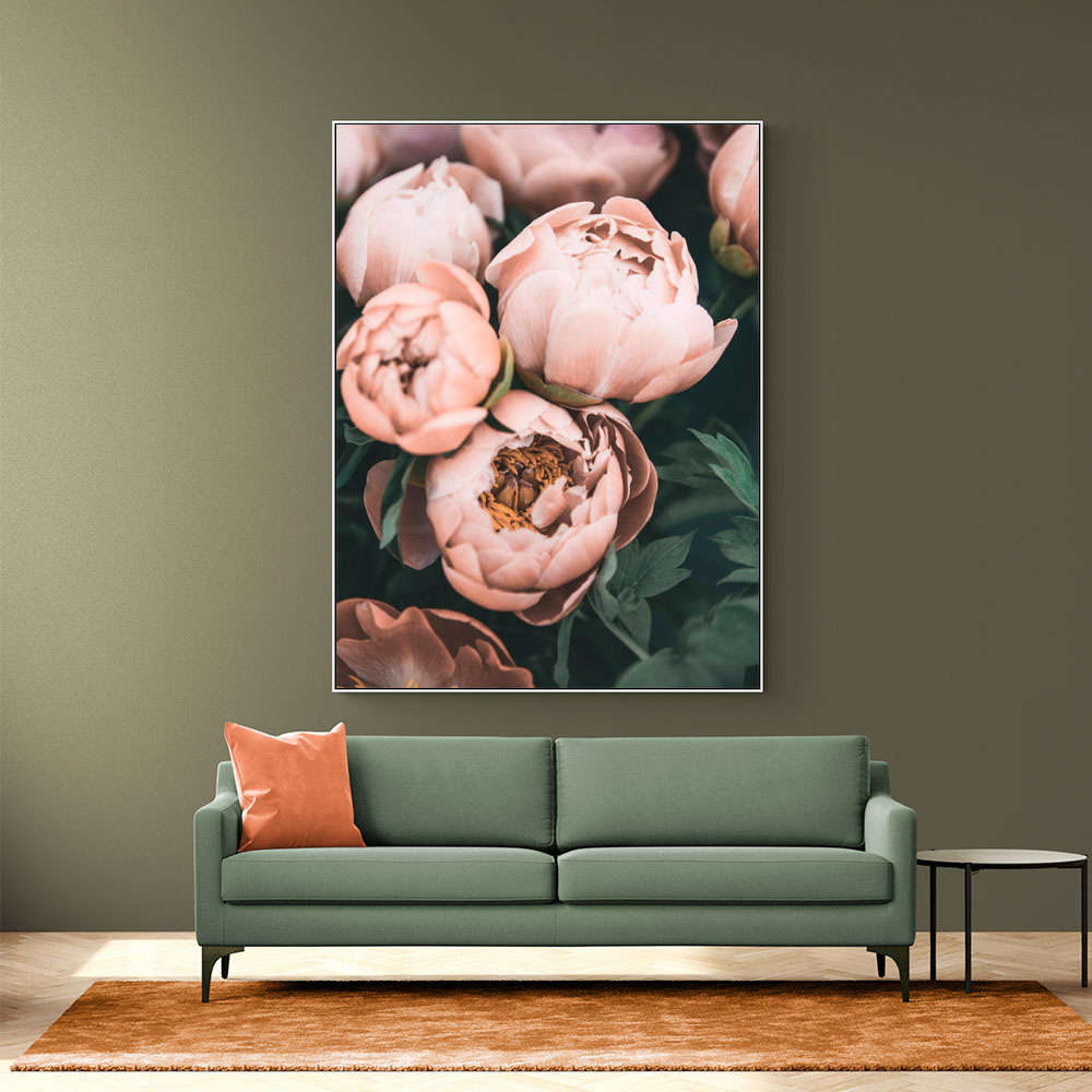 Coral Peonies