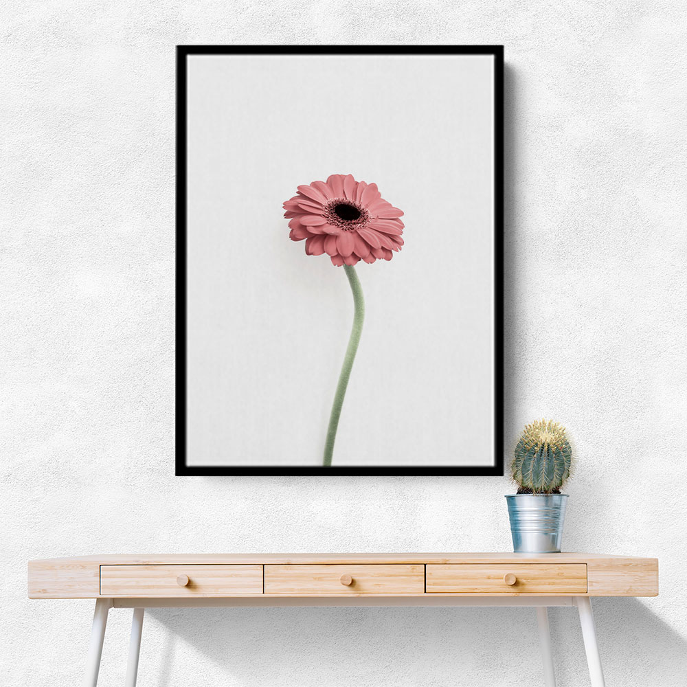 Pink Gerbera