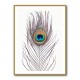 Peacock Feather Peacock Feather
