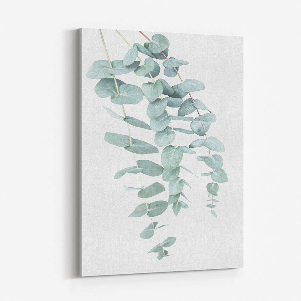 Eucalyptus I