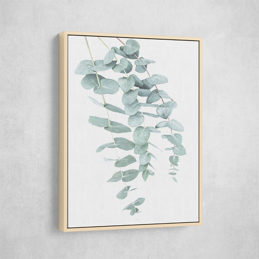 Eucalyptus I