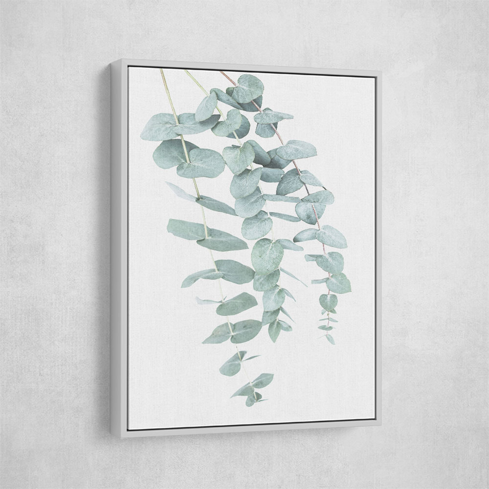 Eucalyptus I