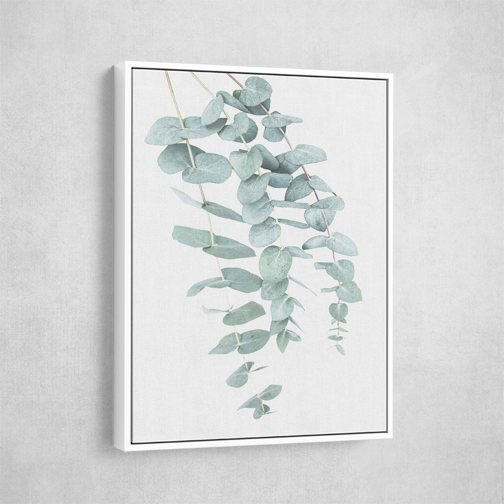 Eucalyptus I