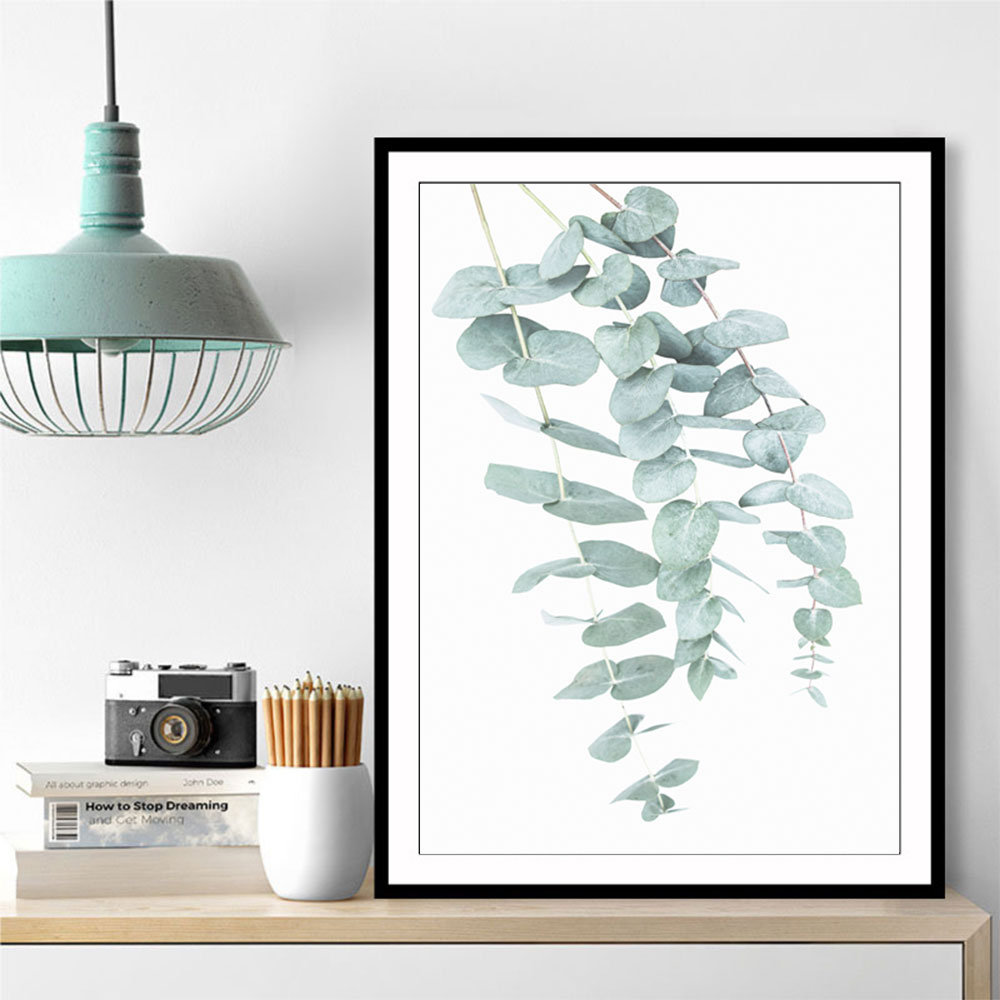 Eucalyptus I