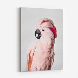 Pink Cockatoo