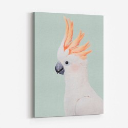 Cockatoo