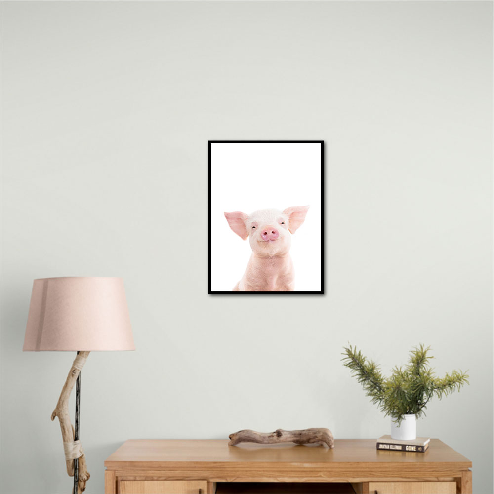 Baby Pig