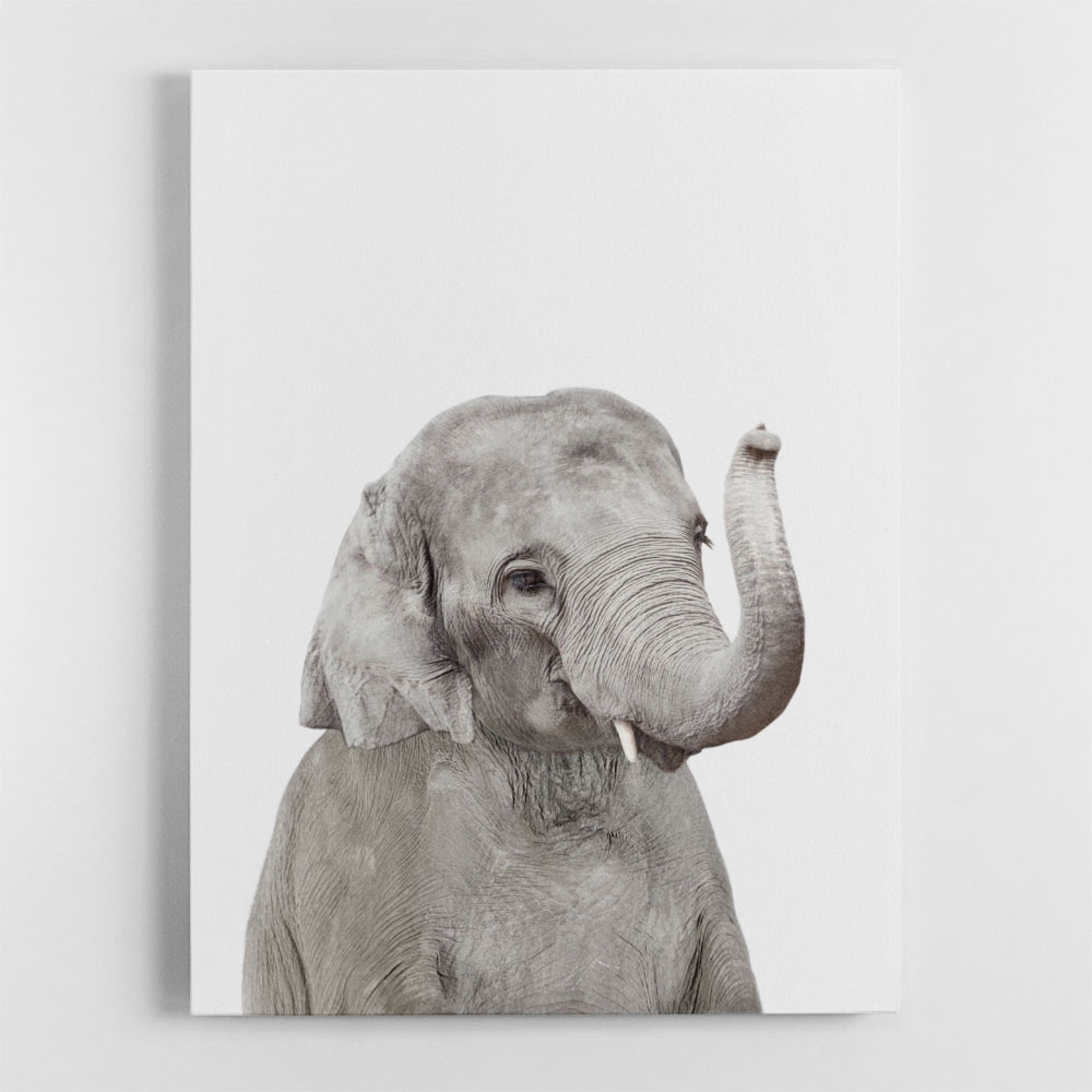 Baby Elephant Wall Art