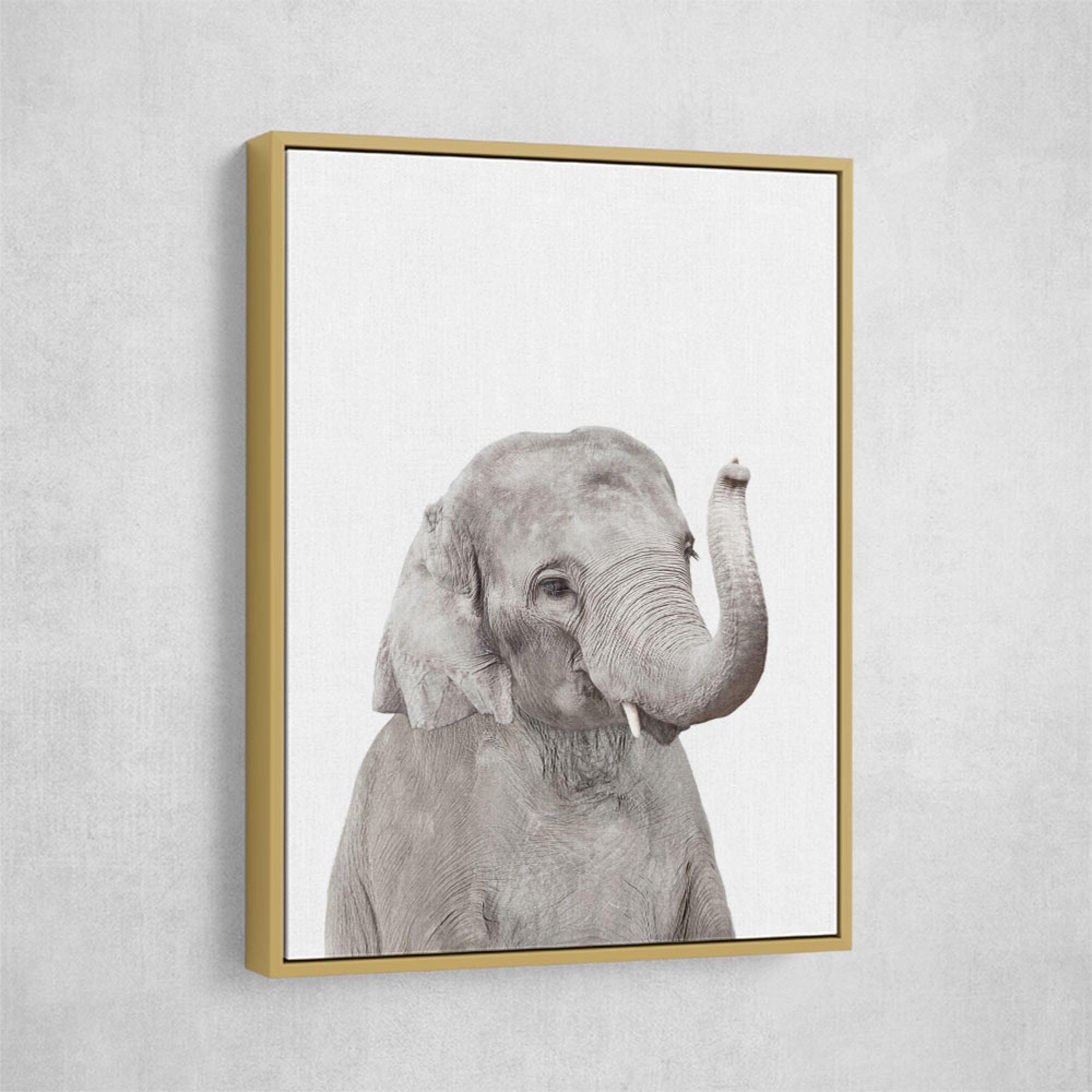 Baby Elephant Wall Art