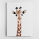 Baby Giraffe