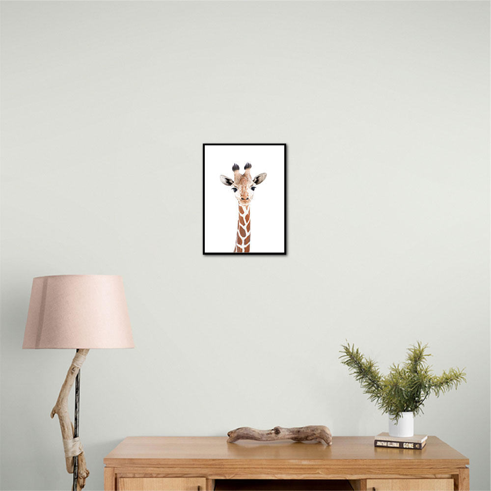 Baby Giraffe