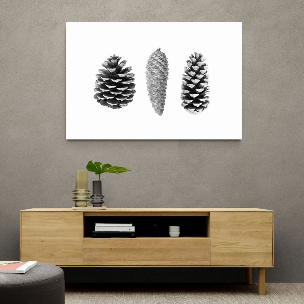 Pine Cone Study