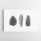 Pine Cone Study