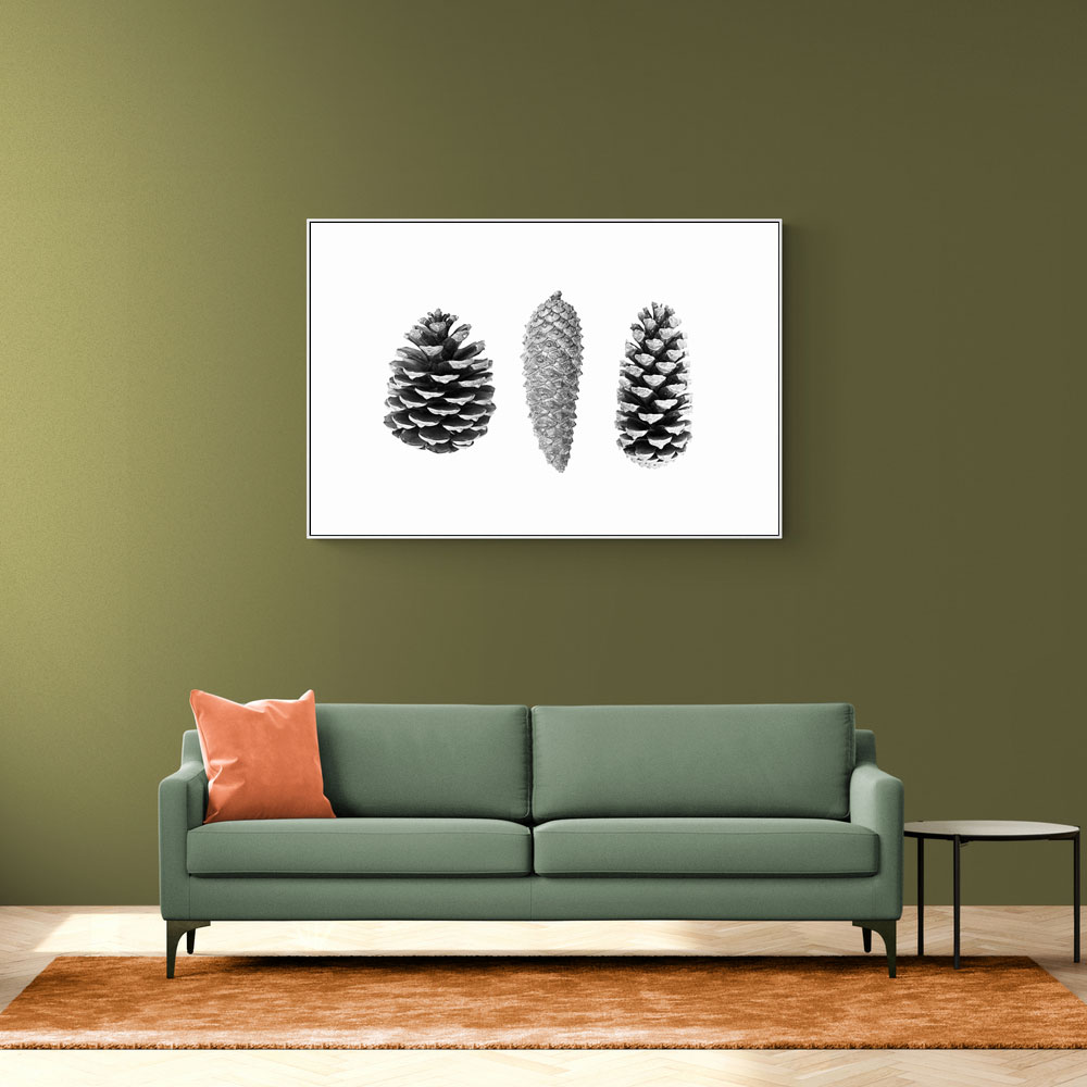 Pine Cone Study