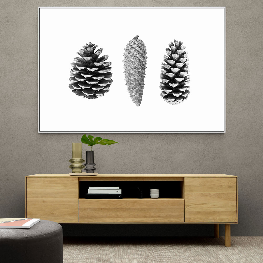 Pine Cone Study