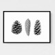 Pine Cone Study