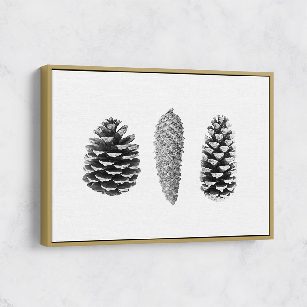 Pine Cone Study