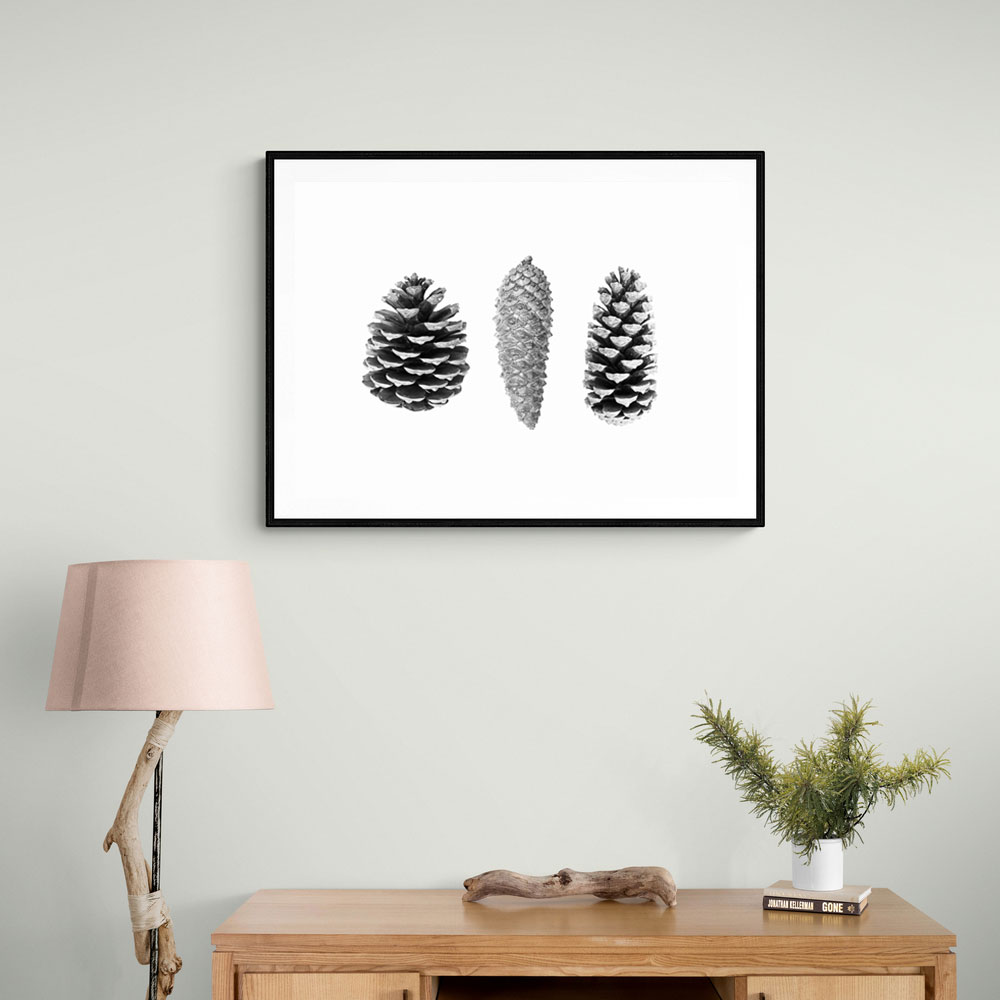 Pine Cone Study