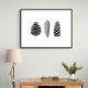 Pine Cone Study