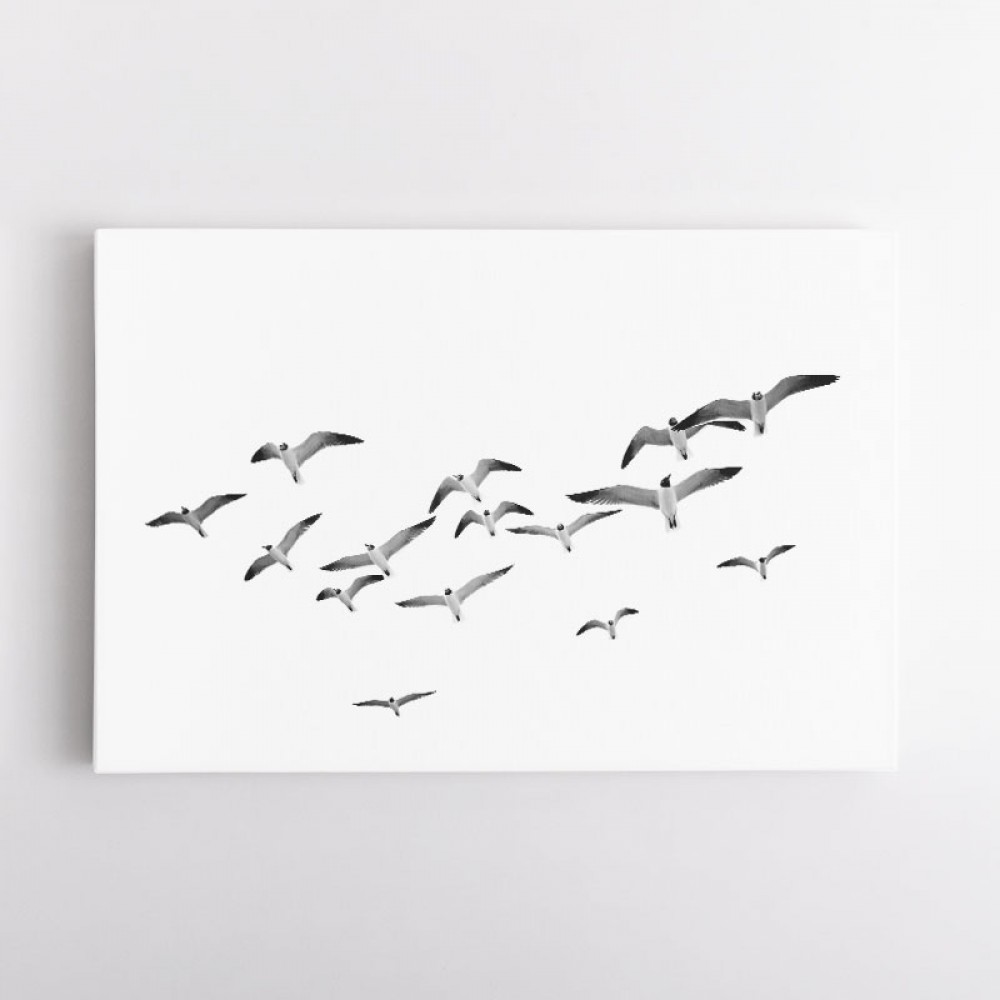 Flying Birds