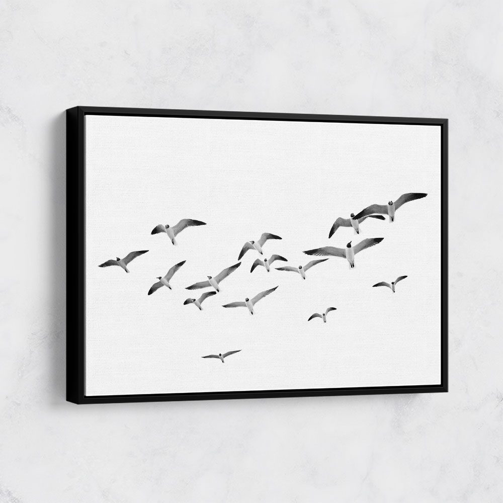 Flying Birds