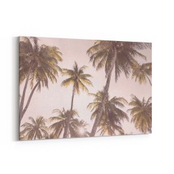 Blush Palm Trees