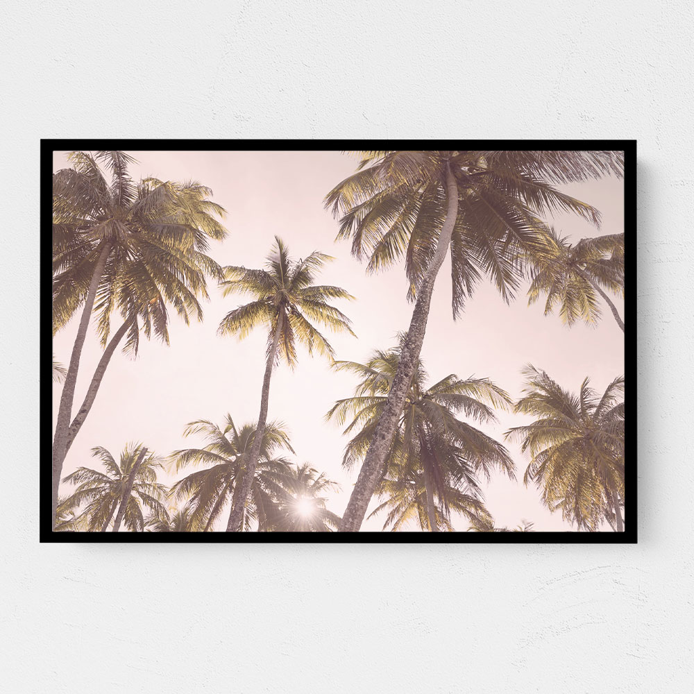 Blush Palm Trees