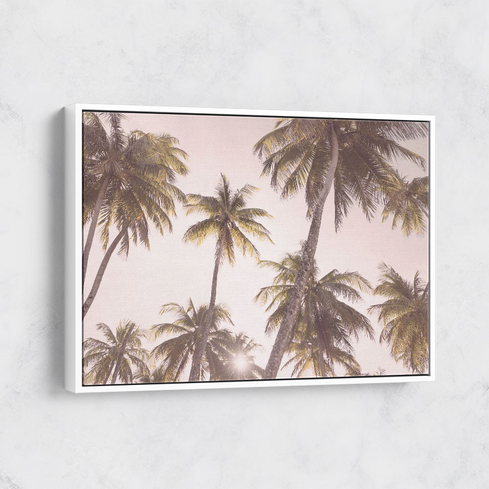 Blush Palm Trees