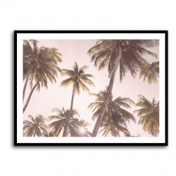 Blush Palm Trees