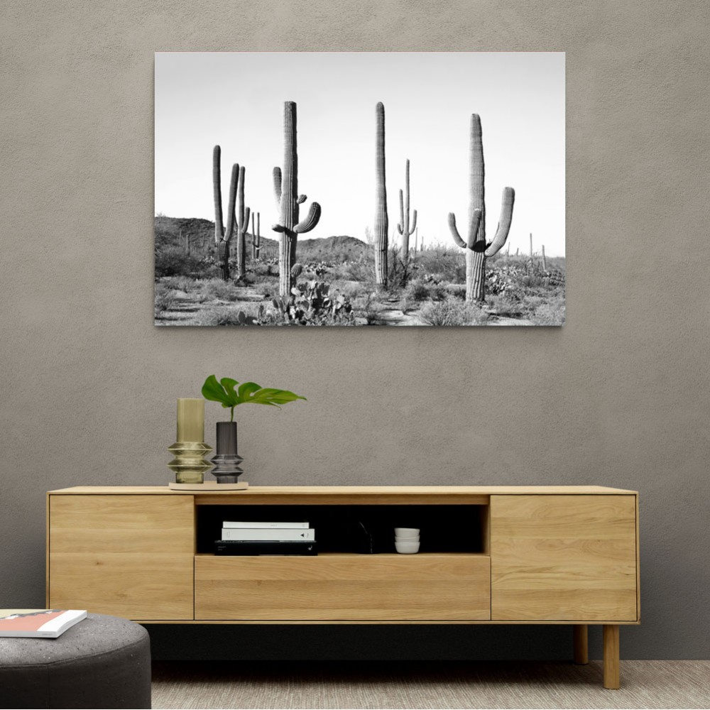 Grey Cactus Land