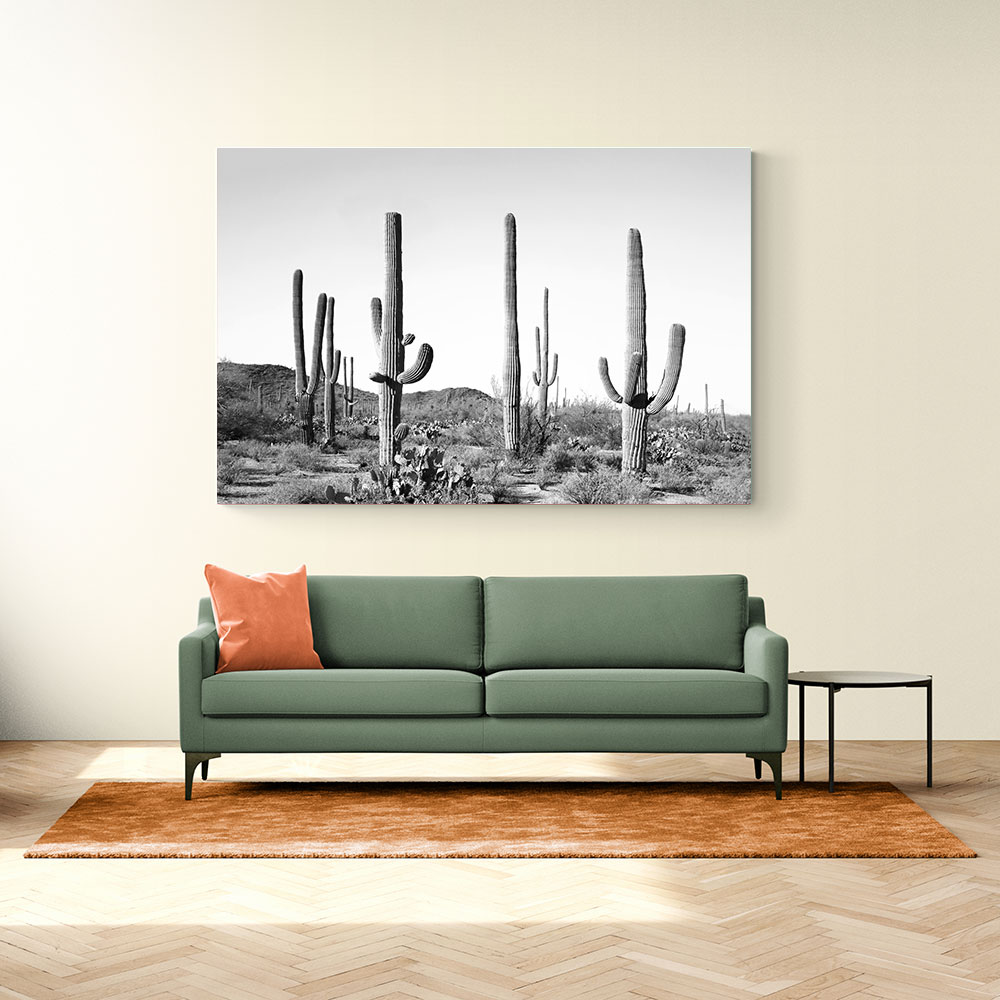 Grey Cactus Land