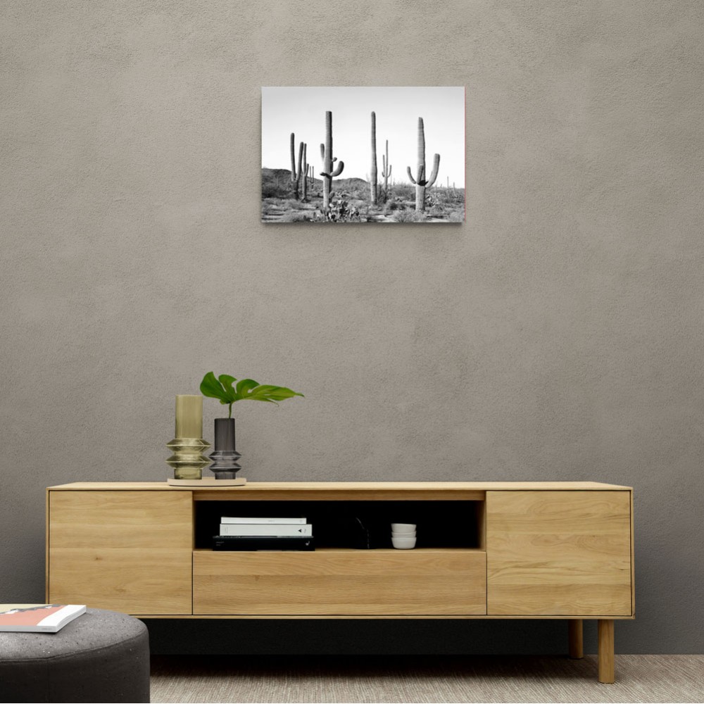 Grey Cactus Land