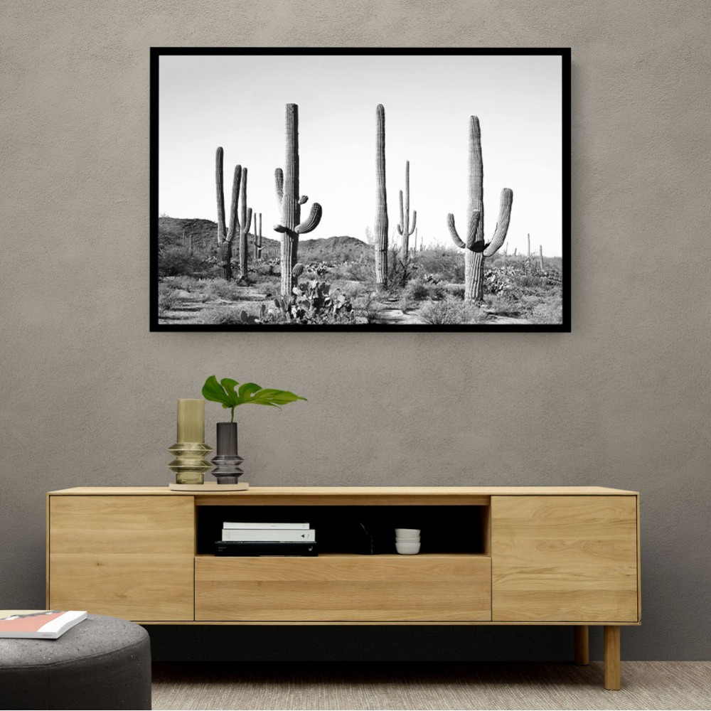 Grey Cactus Land