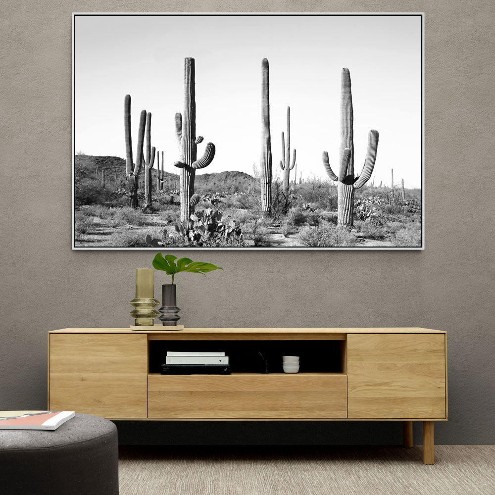 Grey Cactus Land