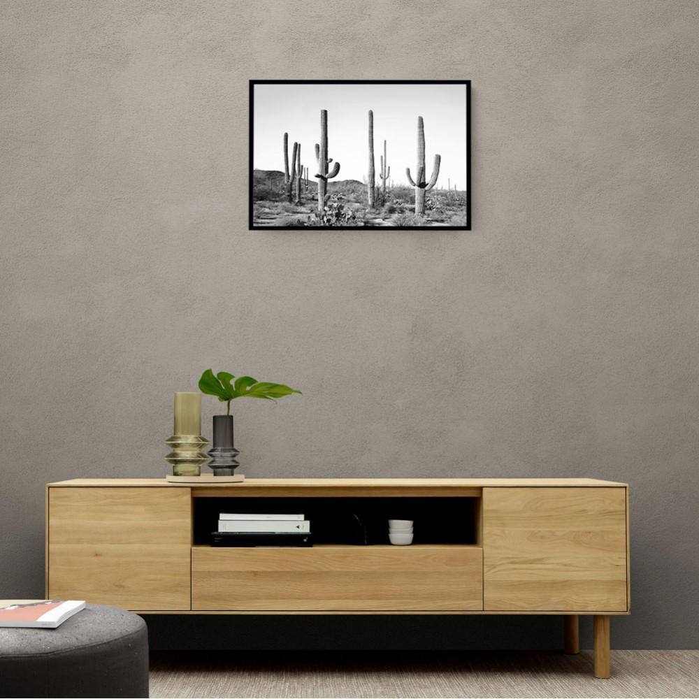 Grey Cactus Land