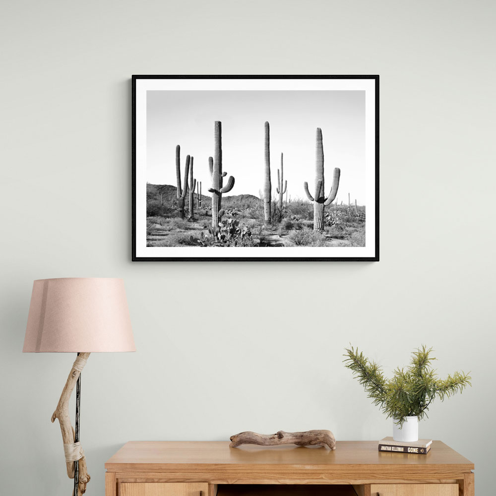 Grey Cactus Land