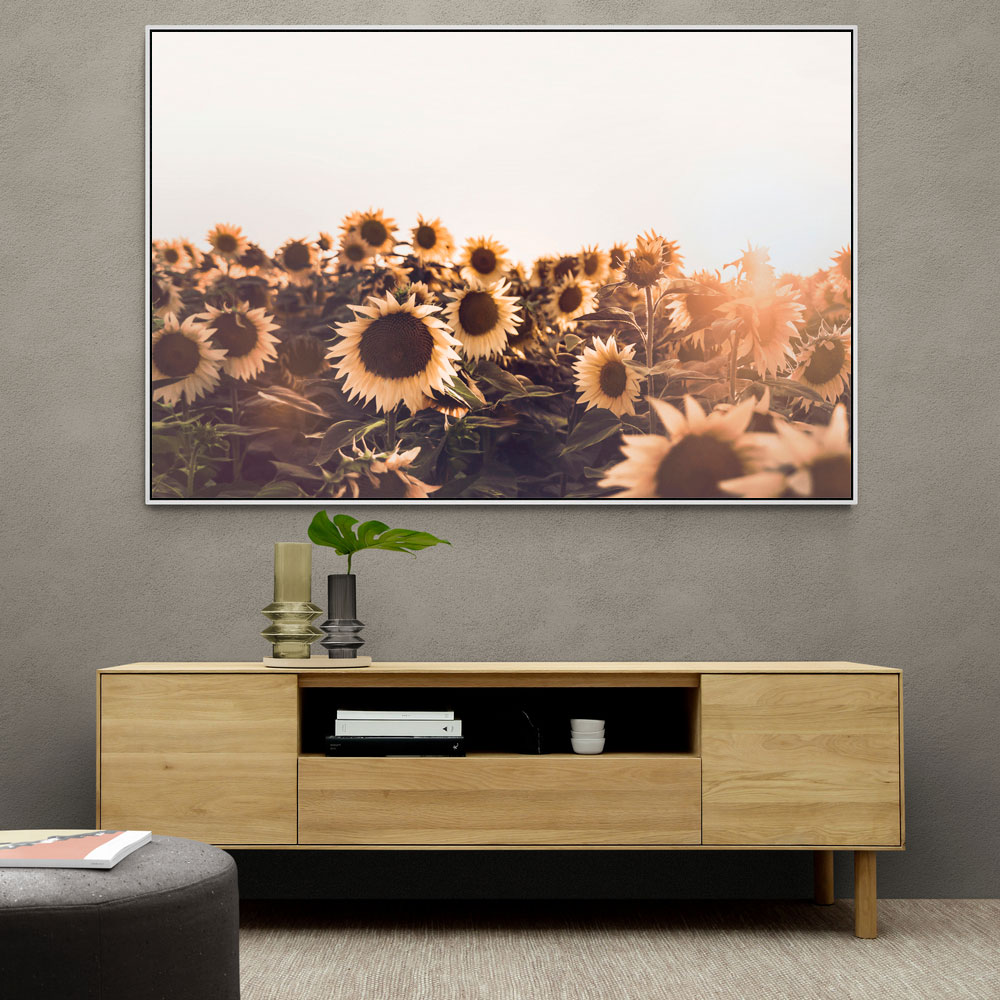 Sunflowers Sunflowers