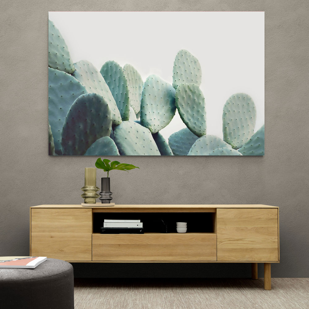 Pastel Cactus Pastel Cactus