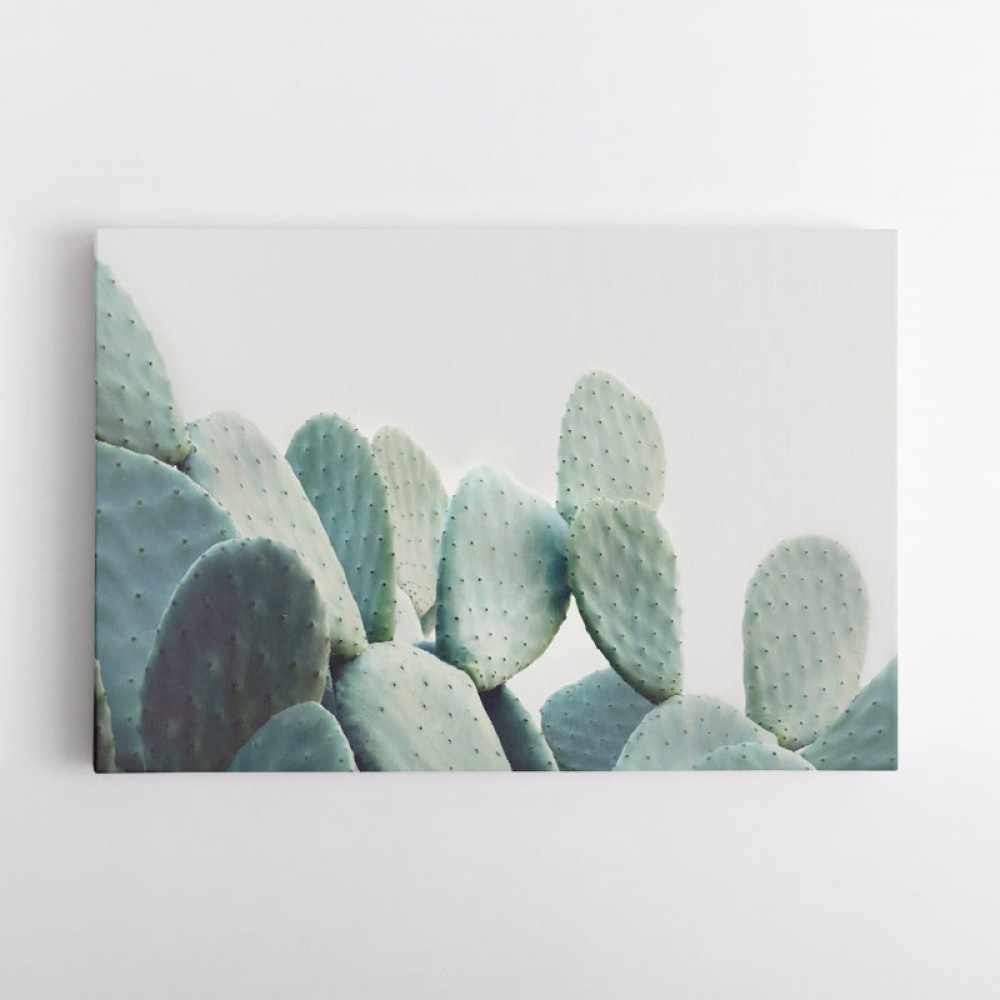 Pastel Cactus