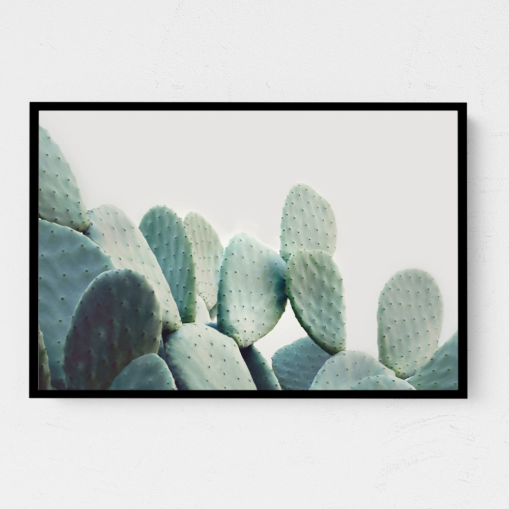 Pastel Cactus