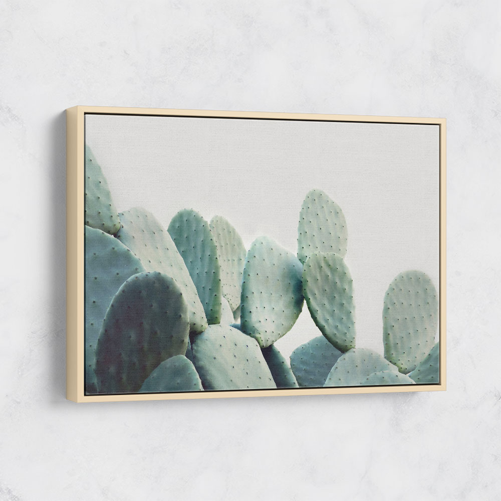 Pastel Cactus Pastel Cactus