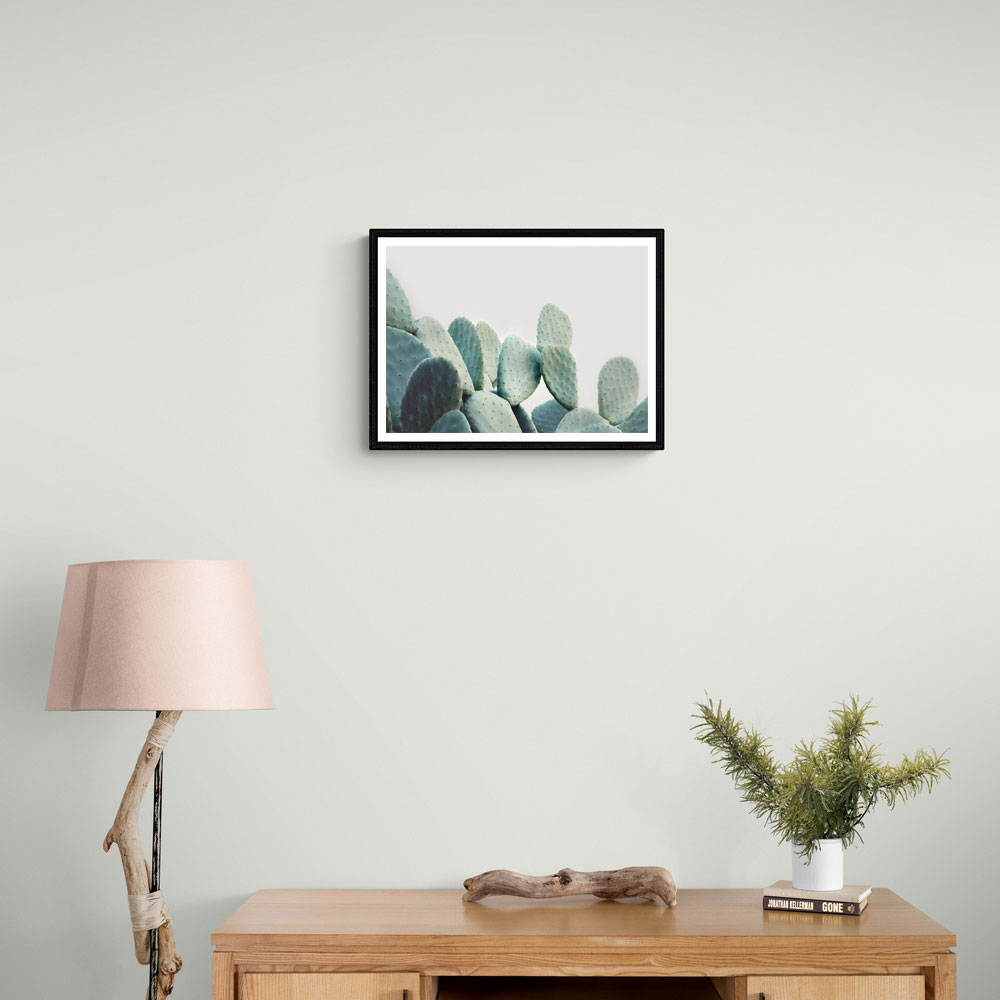 Pastel Cactus Pastel Cactus