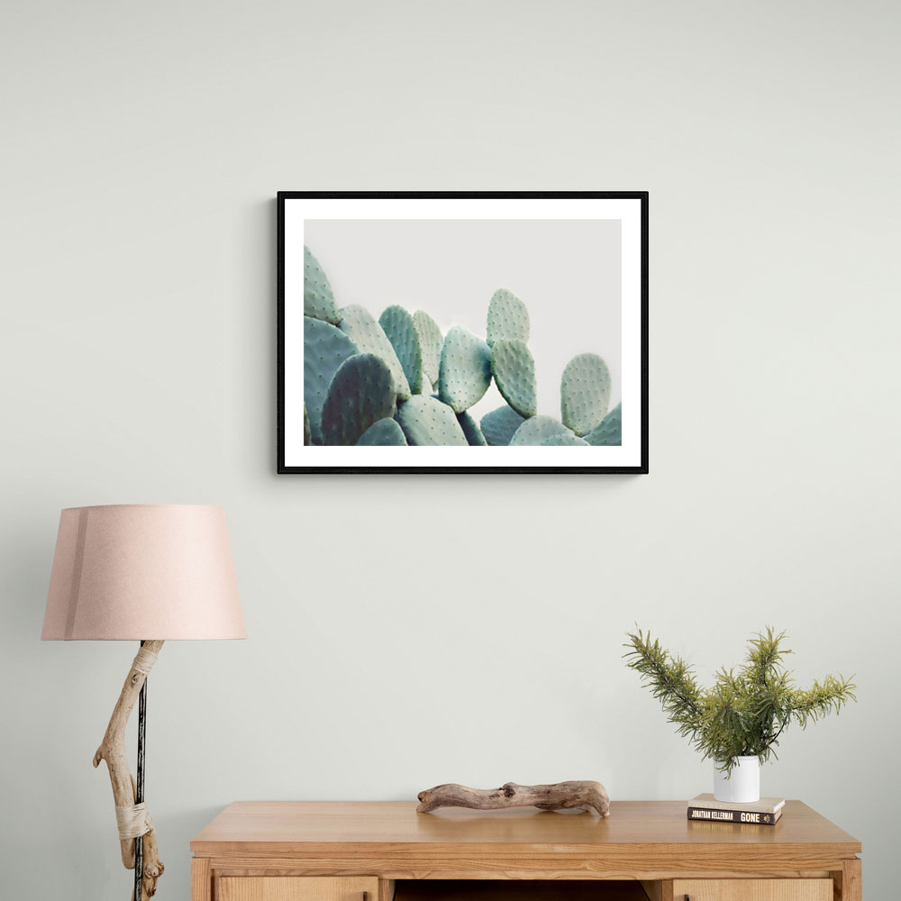 Pastel Cactus Pastel Cactus