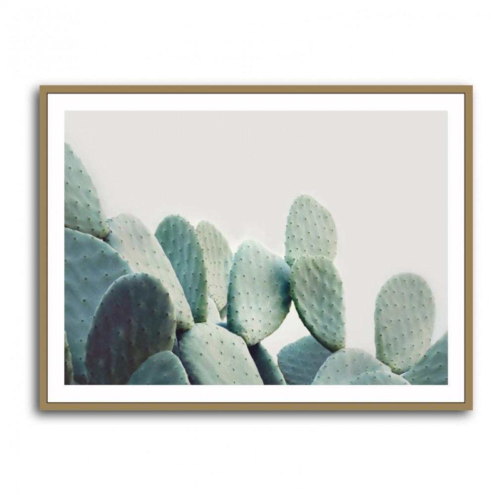 Pastel Cactus Pastel Cactus